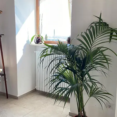 Belvedere Di Puglia Casa *